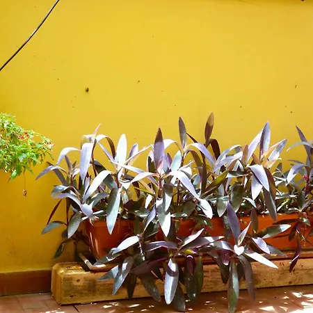 Restyling B&B *